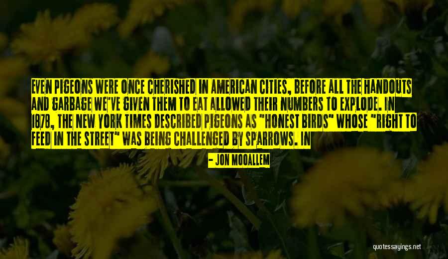 Being Cherished Quotes By Jon Mooallem Being Cherished Quotes By Jon Mooallem