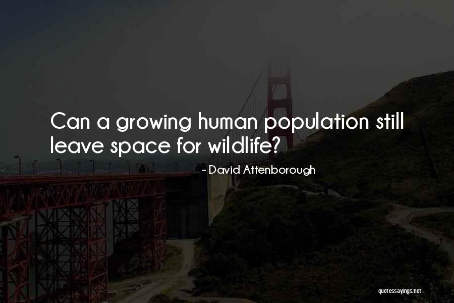 Being Chronically Ill Quotes By David Attenborough Being Chronically Ill Quotes By David Attenborough
