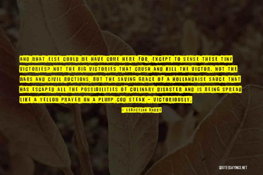 Being Civil Quotes By Sebastian Barry Being Civil Quotes By Sebastian Barry