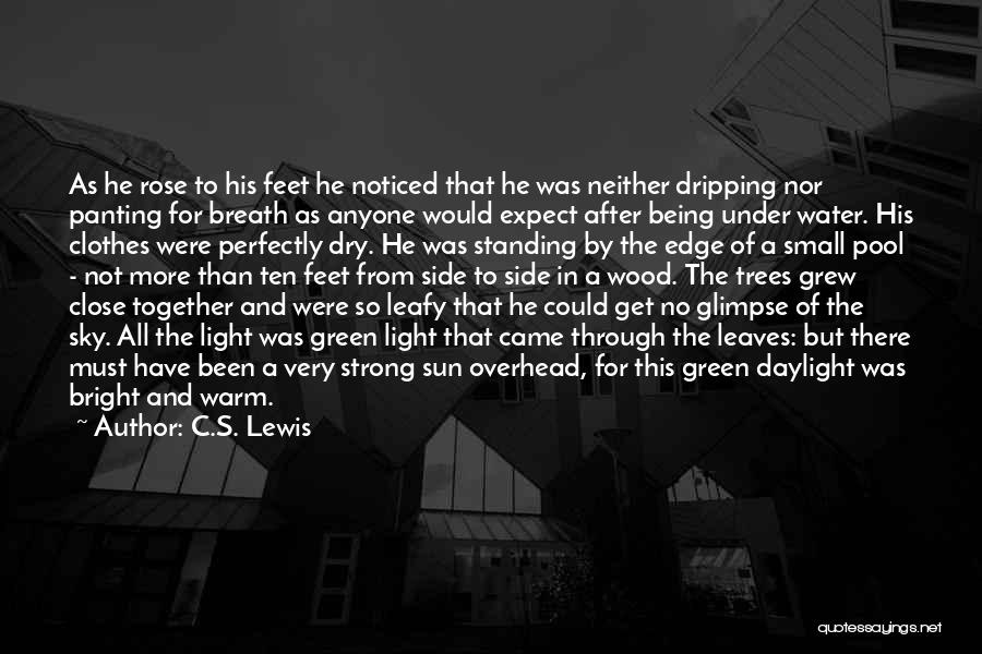 Being Close To The Edge Quotes By C.S. Lewis