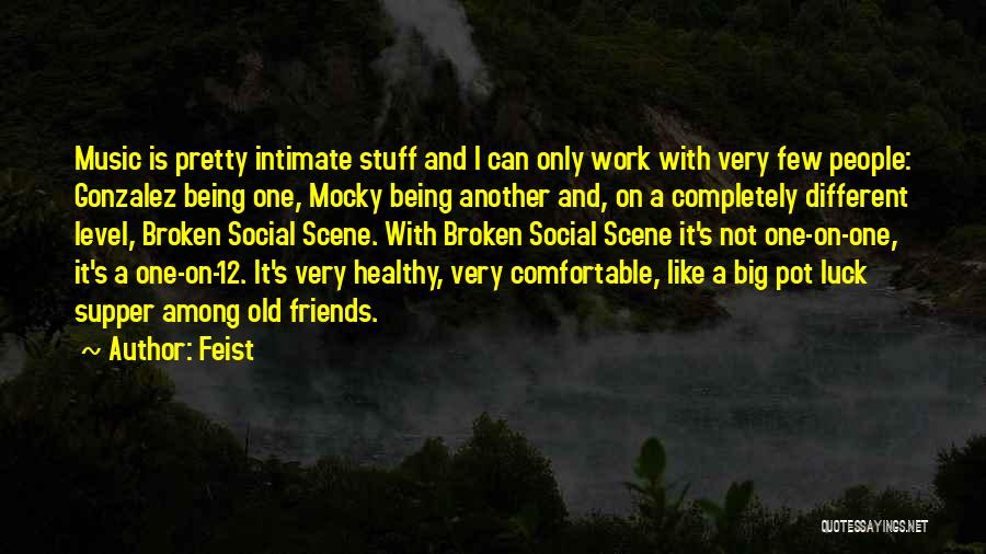 Being Comfortable With Friends Quotes By Feist