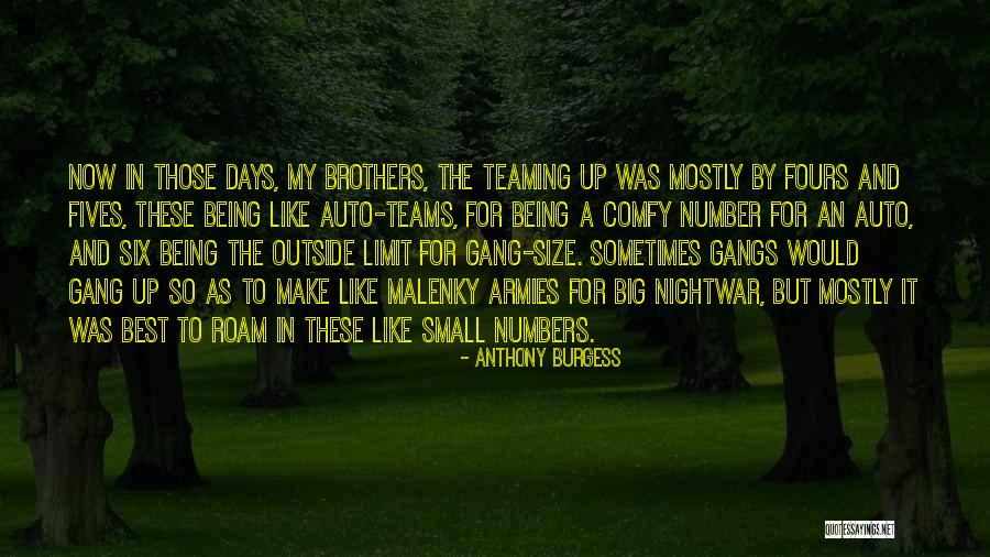 Being Comfy Quotes By Anthony Burgess Being Comfy Quotes By Anthony Burgess
