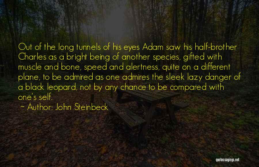 Being Compared To Others Quotes By John Steinbeck