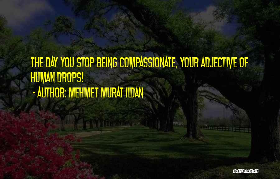Being Compassionate Quotes By Mehmet Murat Ildan