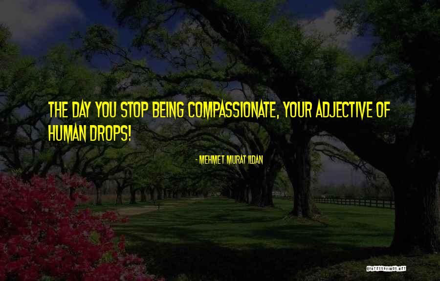 Being Compassionate Quotes By Mehmet Murat Ildan