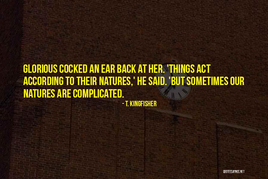 Being Confused Pinterest Quotes By T. Kingfisher Being Confused Pinterest Quotes By T. Kingfisher