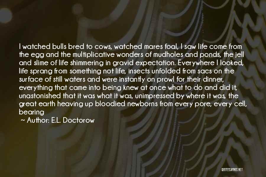 Being Contained Quotes By E.L. Doctorow