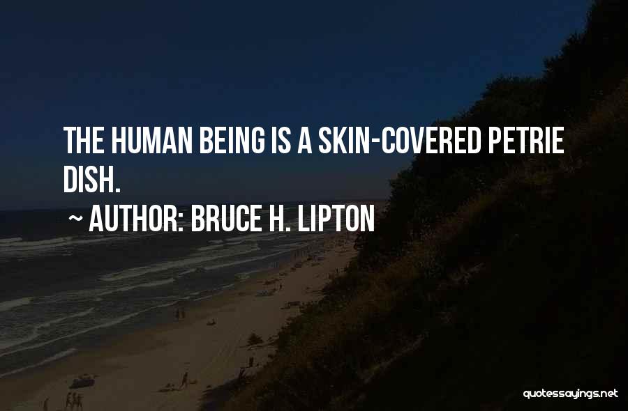 Being Covered Quotes By Bruce H. Lipton