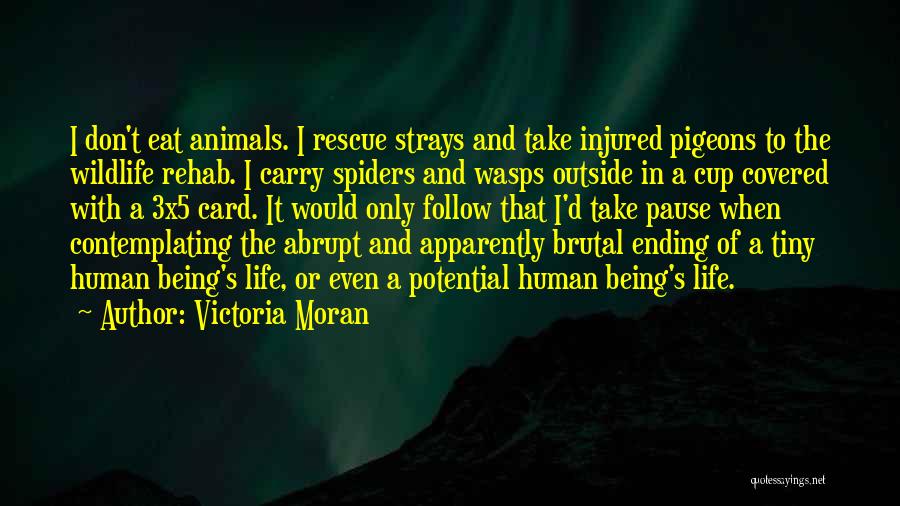 Being Covered Quotes By Victoria Moran