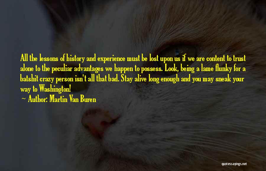 Being Crazy Isn't Enough Quotes By Martin Van Buren