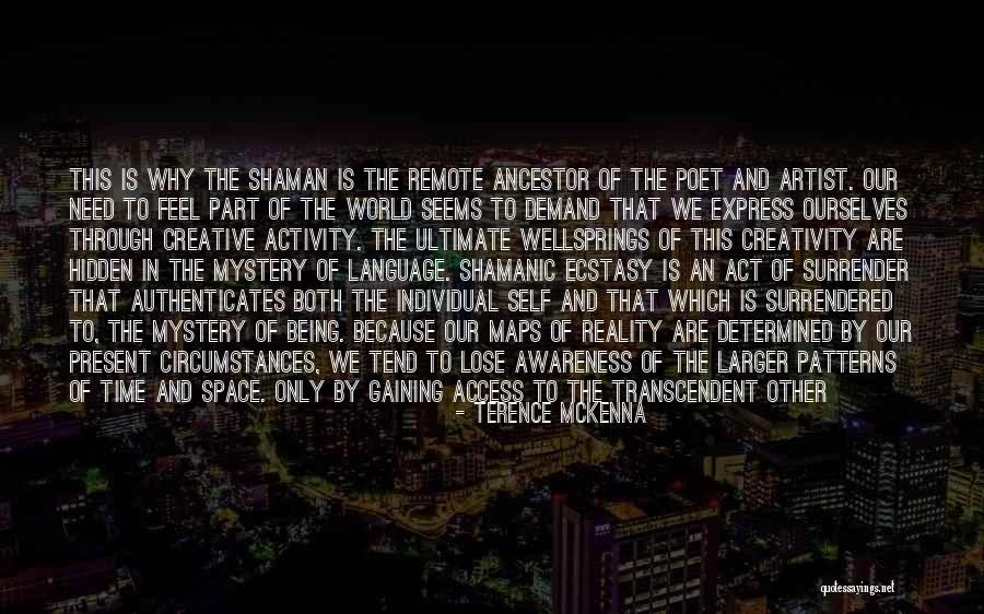 Being Creative Artist Quotes By Terence McKenna Being Creative Artist Quotes By Terence McKenna