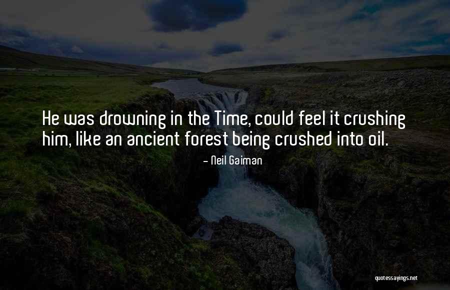Being Crushed Quotes By Neil Gaiman Being Crushed Quotes By Neil Gaiman