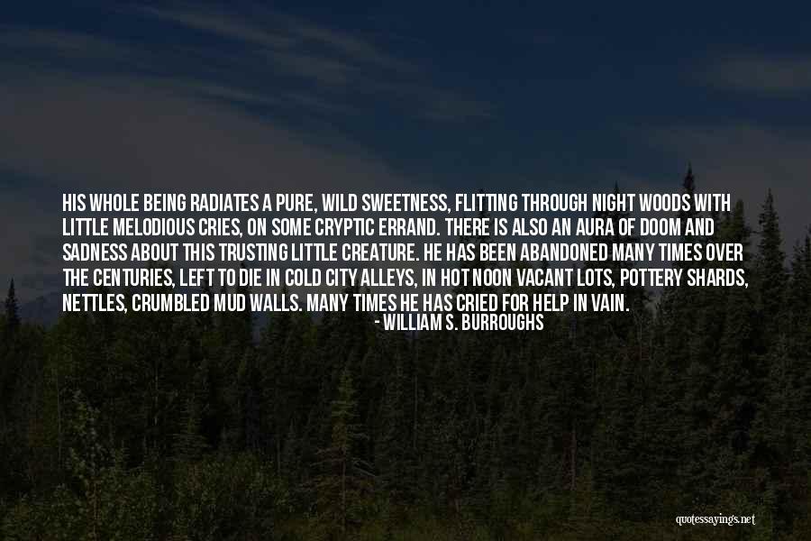 Being Cryptic Quotes By William S. Burroughs Being Cryptic Quotes By William S. Burroughs