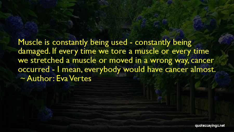 Being Damaged Quotes By Eva Vertes