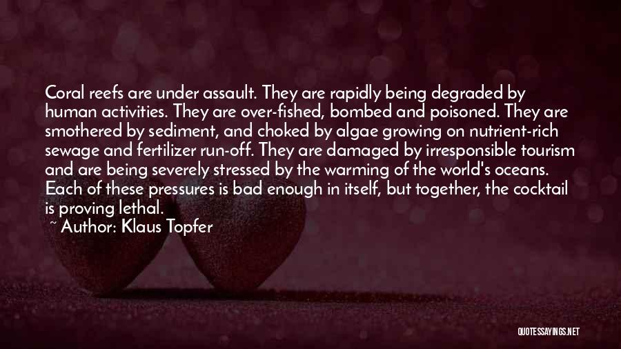 Being Damaged Quotes By Klaus Topfer