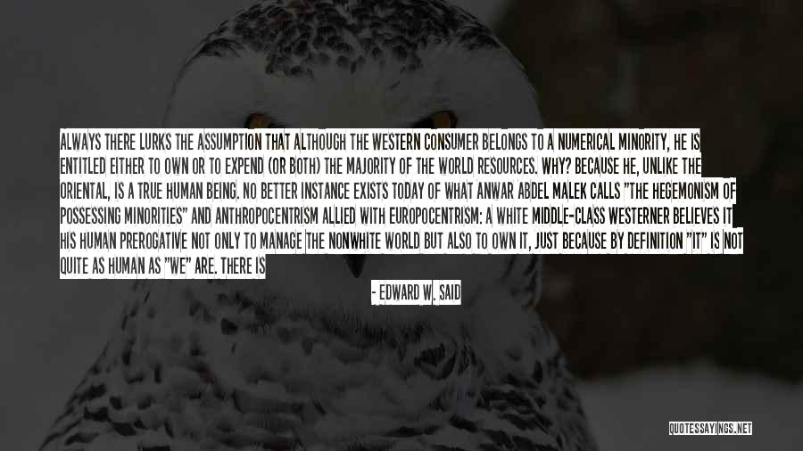 Being Dehumanized Quotes By Edward W. Said Being Dehumanized Quotes By Edward W. Said