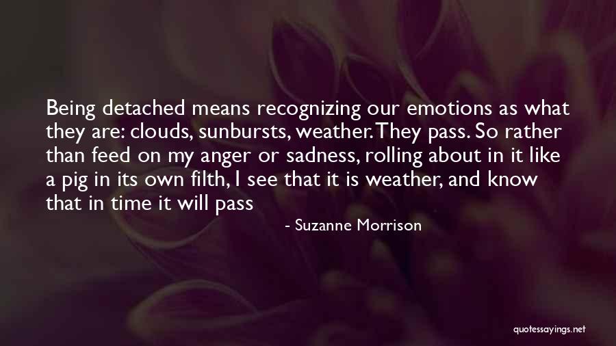 Being Detached Quotes By Suzanne Morrison