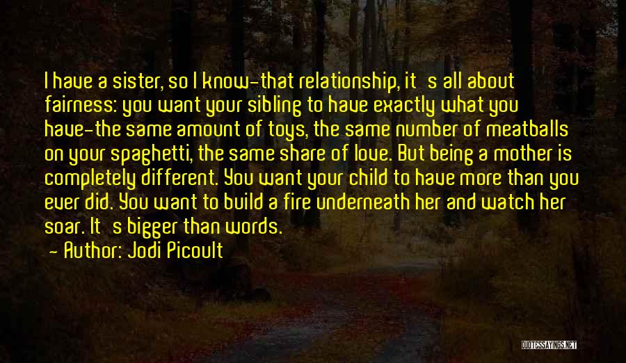 Being Different But The Same Quotes By Jodi Picoult