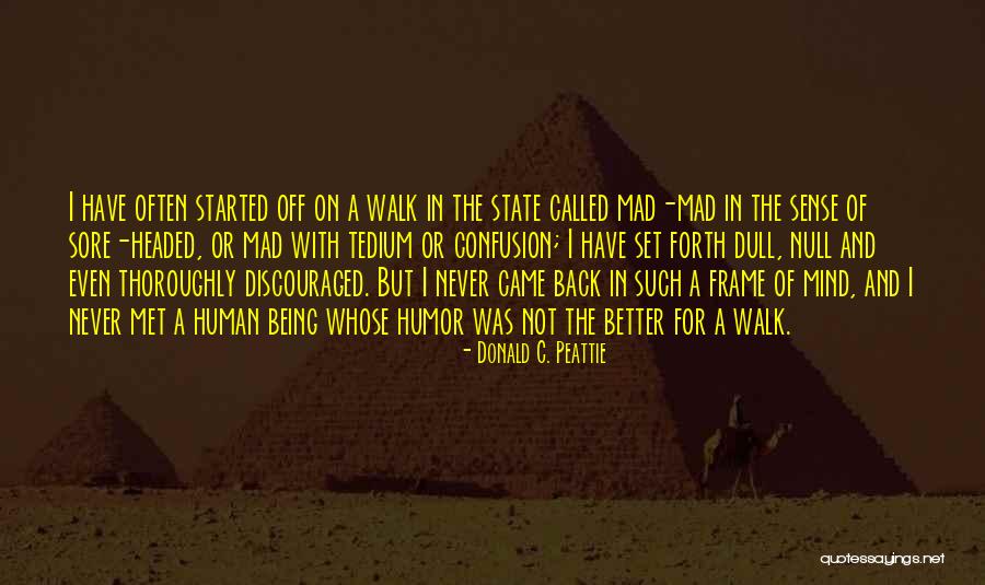 Being Discouraged Quotes By Donald C. Peattie Being Discouraged Quotes By Donald C. Peattie