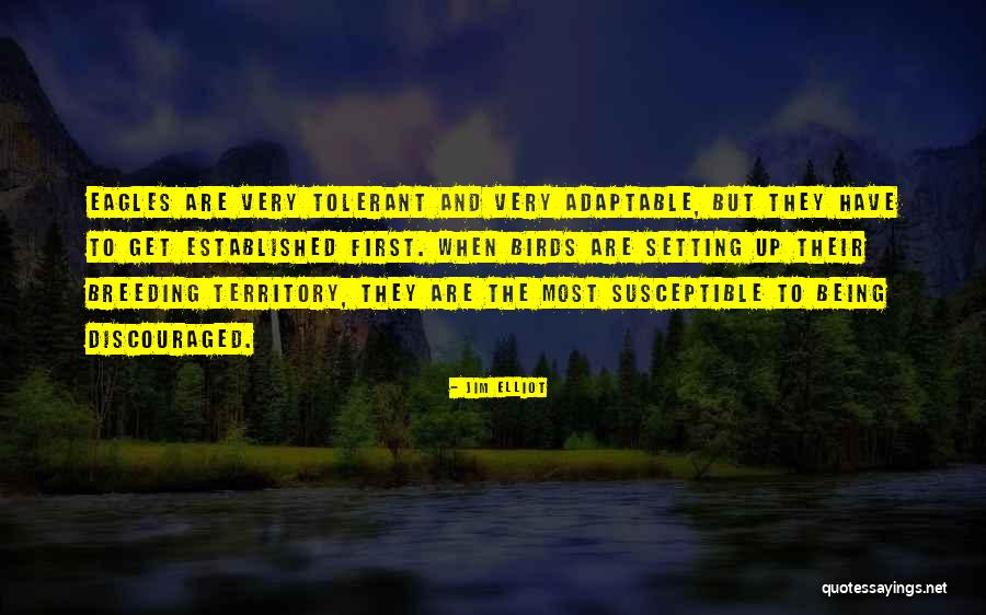 Being Discouraged Quotes By Jim Elliot