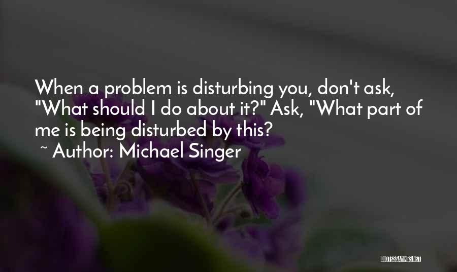 Being Disturbed Quotes By Michael Singer