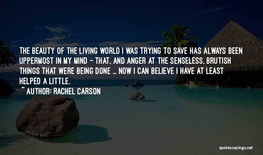 Being Done Trying Quotes By Rachel Carson