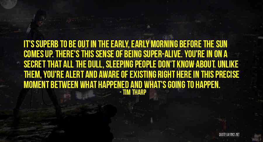 Being Dull Quotes By Tim Tharp Being Dull Quotes By Tim Tharp