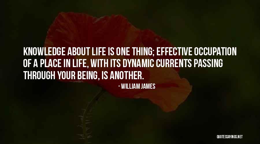 Being Dynamic Quotes By William James Being Dynamic Quotes By William James