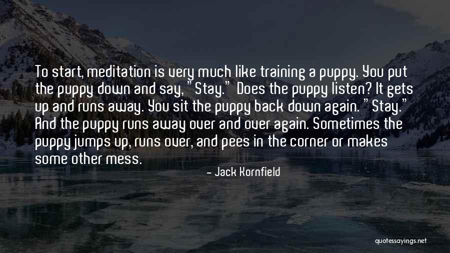 Being Easy On Vet Assistants Quotes By Jack Kornfield Being Easy On Vet Assistants Quotes By Jack Kornfield