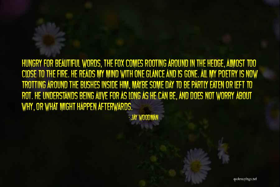 Being Eaten Quotes By Jay Woodman Being Eaten Quotes By Jay Woodman