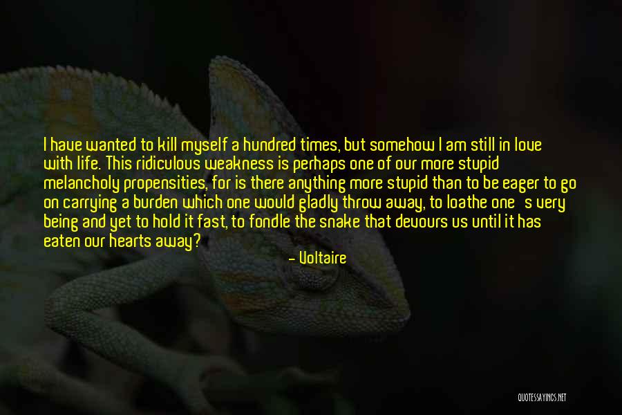 Being Eaten Quotes By Voltaire Being Eaten Quotes By Voltaire