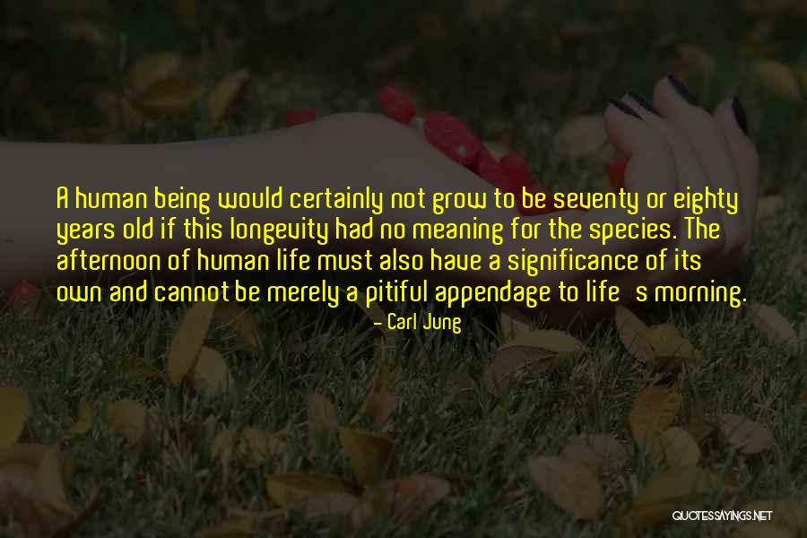 Being Eighty Quotes By Carl Jung