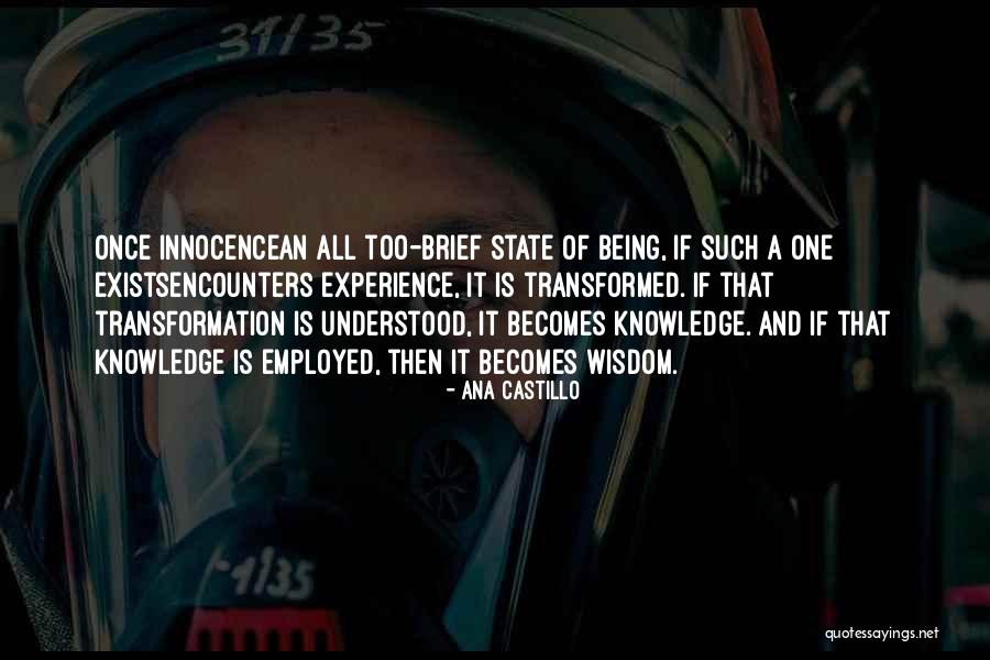 Being Employed Quotes By Ana Castillo Being Employed Quotes By Ana Castillo