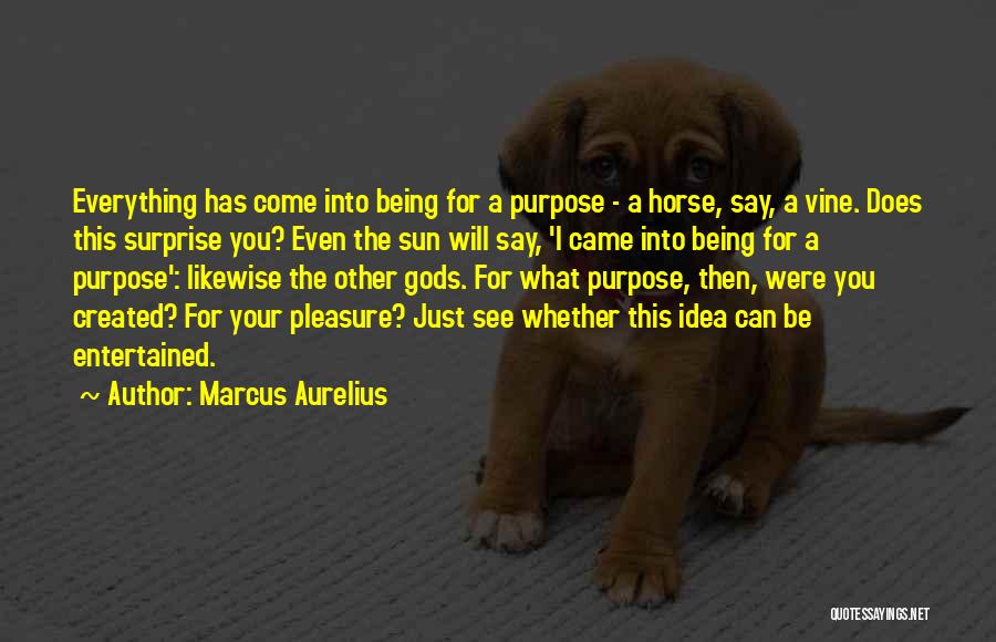 Being Entertained Quotes By Marcus Aurelius