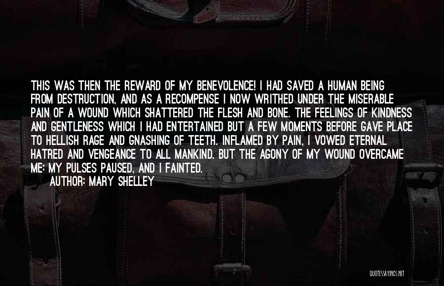 Being Entertained Quotes By Mary Shelley