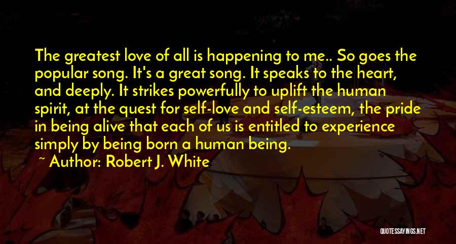Being Entitled Quotes By Robert J. White