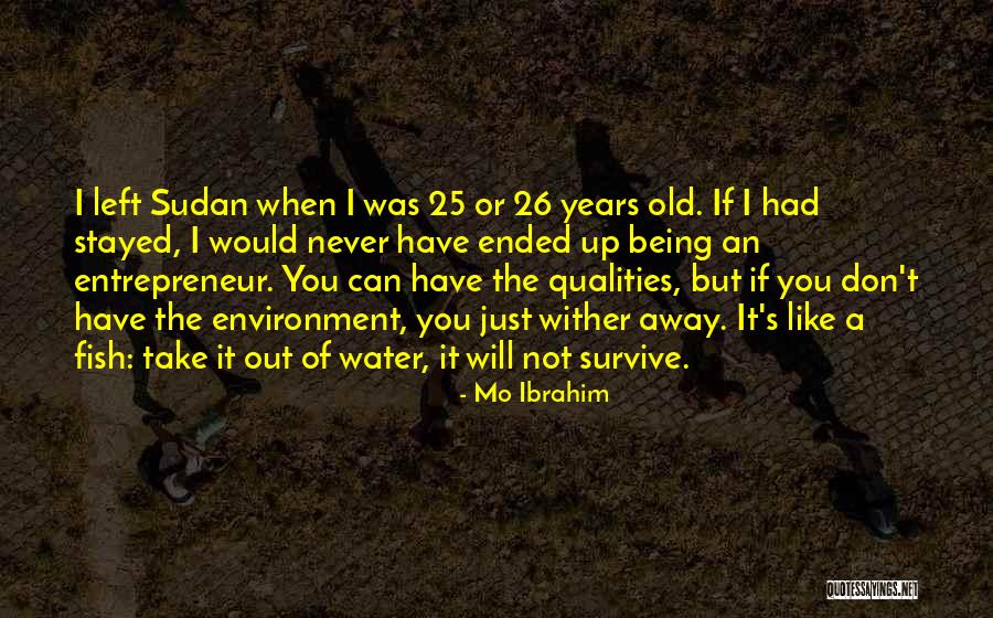 Being Entrepreneur Quotes By Mo Ibrahim Being Entrepreneur Quotes By Mo Ibrahim