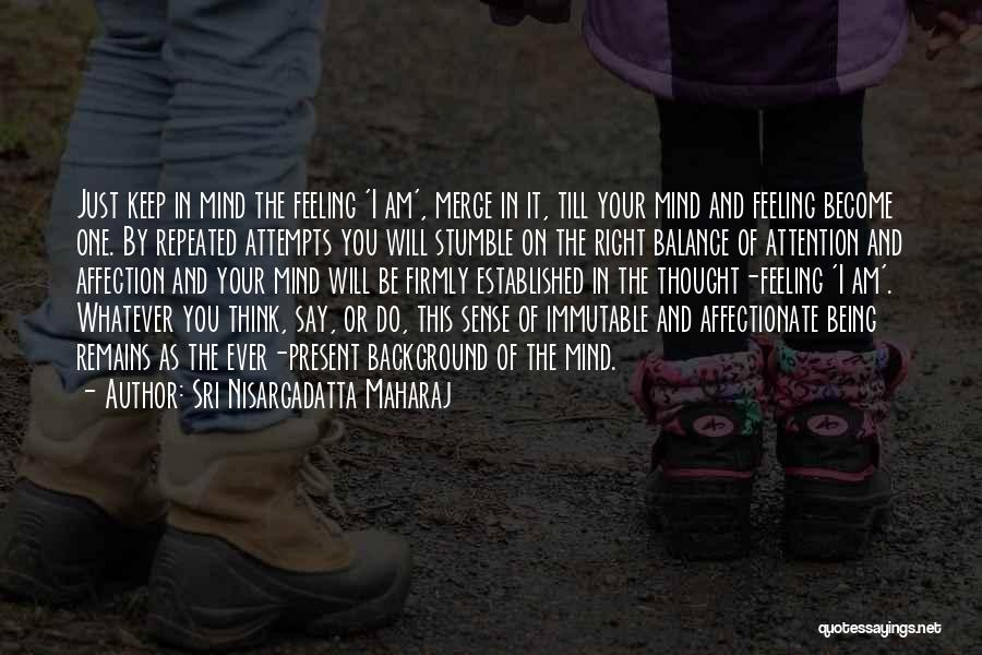 Being Established Quotes By Sri Nisargadatta Maharaj