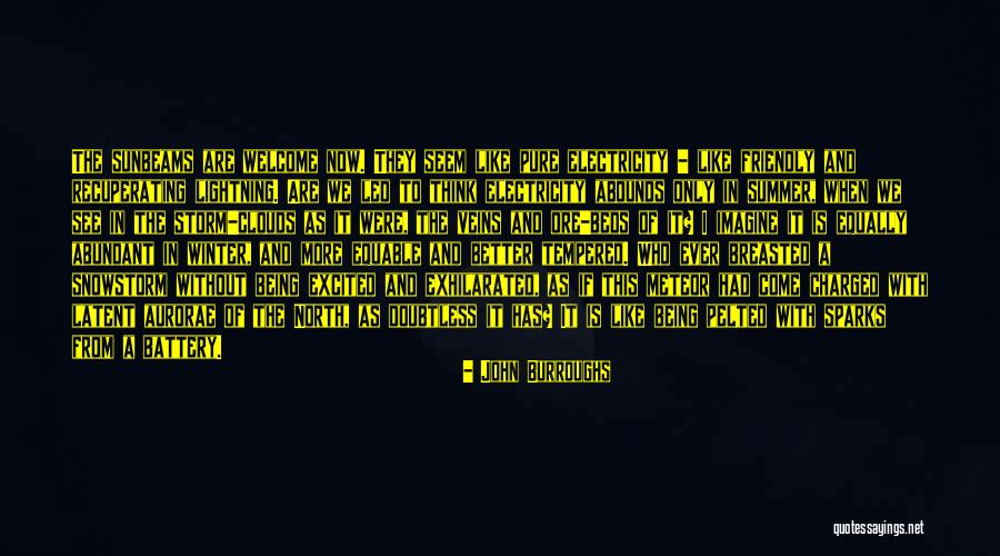 Being Excited To See Her Quotes By John Burroughs Being Excited To See Her Quotes By John Burroughs