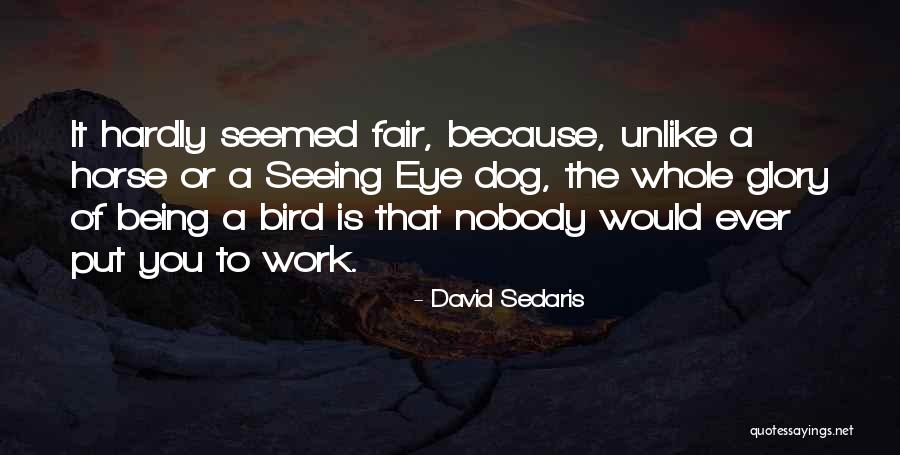 Being Fair At Work Quotes By David Sedaris Being Fair At Work Quotes By David Sedaris
