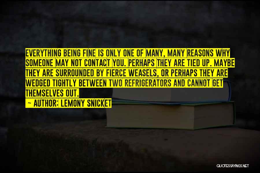 Being Fierce Quotes By Lemony Snicket
