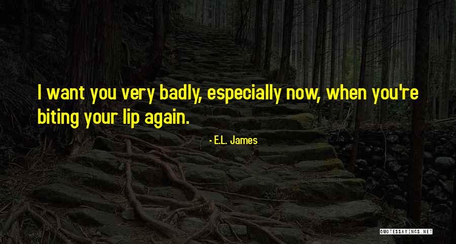 Being Fired From Work Quotes By E.L. James