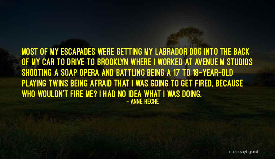 Being Fired Quotes By Anne Heche Being Fired Quotes By Anne Heche