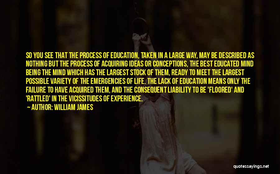 Being Floored Quotes By William James