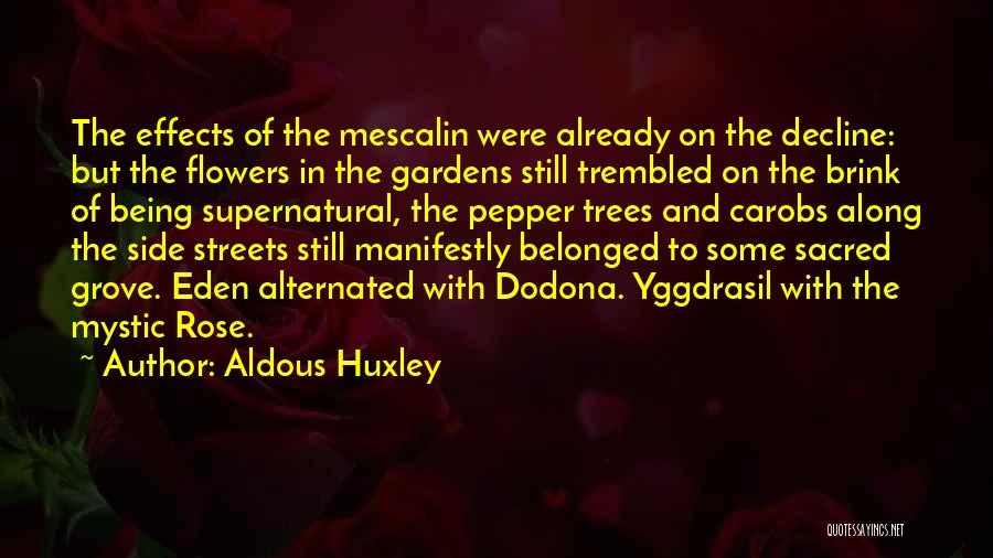 Being Flowers Quotes By Aldous Huxley