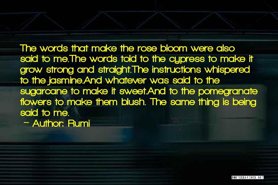 Being Flowers Quotes By Rumi