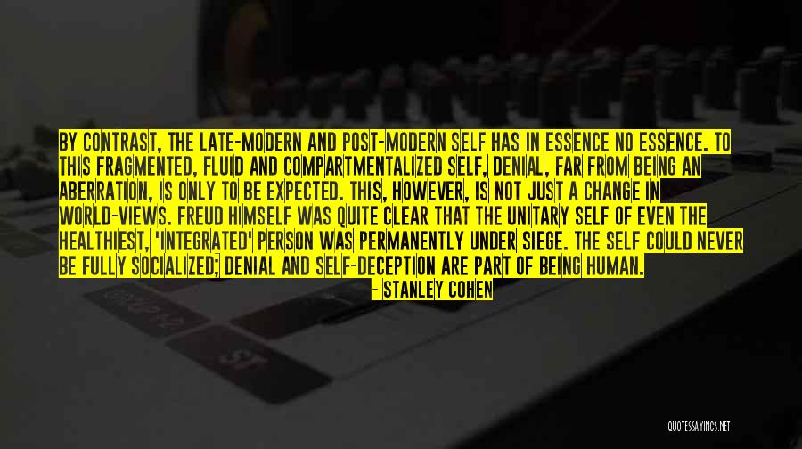 Being Fluid Quotes By Stanley Cohen Being Fluid Quotes By Stanley Cohen