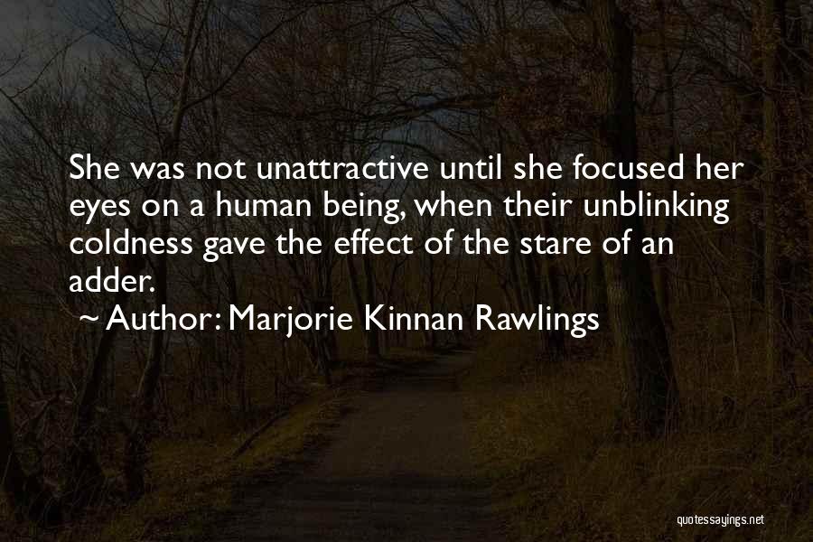 Being Focused Quotes By Marjorie Kinnan Rawlings