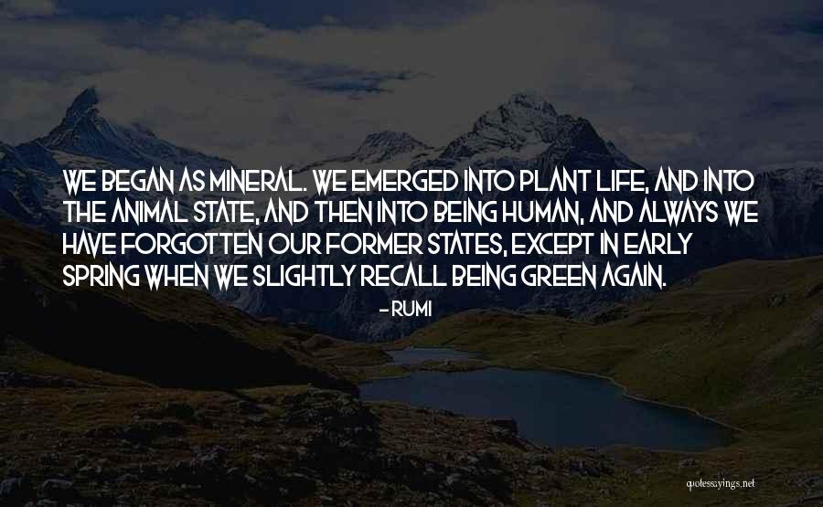 Being Forgotten In Life Quotes By Rumi Being Forgotten In Life Quotes By Rumi