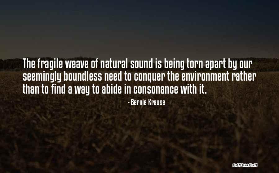 Being Fragile Quotes By Bernie Krause Being Fragile Quotes By Bernie Krause